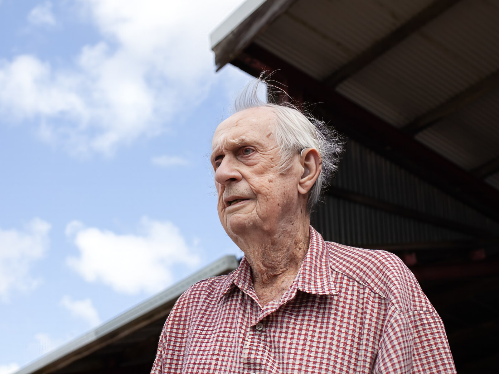 Bill Adams